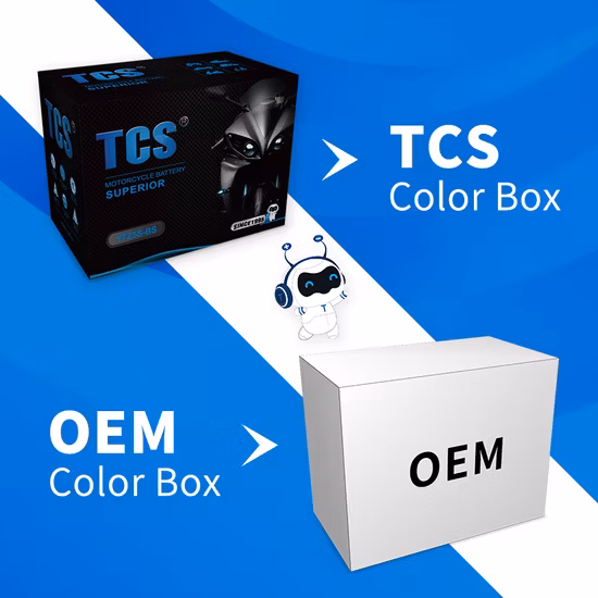 Werkseitig aktiviertes 7Ah Ytz7S